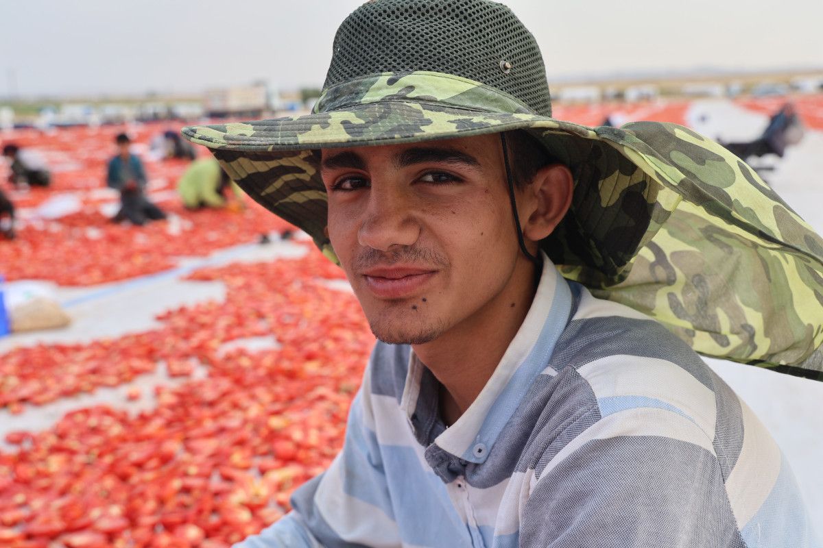 Diyarbak�r�da kurutulan domatesler Avrupa�ya ihra� edilecek