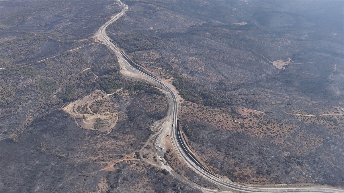 Bursa'da 10 bin futbol sahas� kadar orman k�l oldu